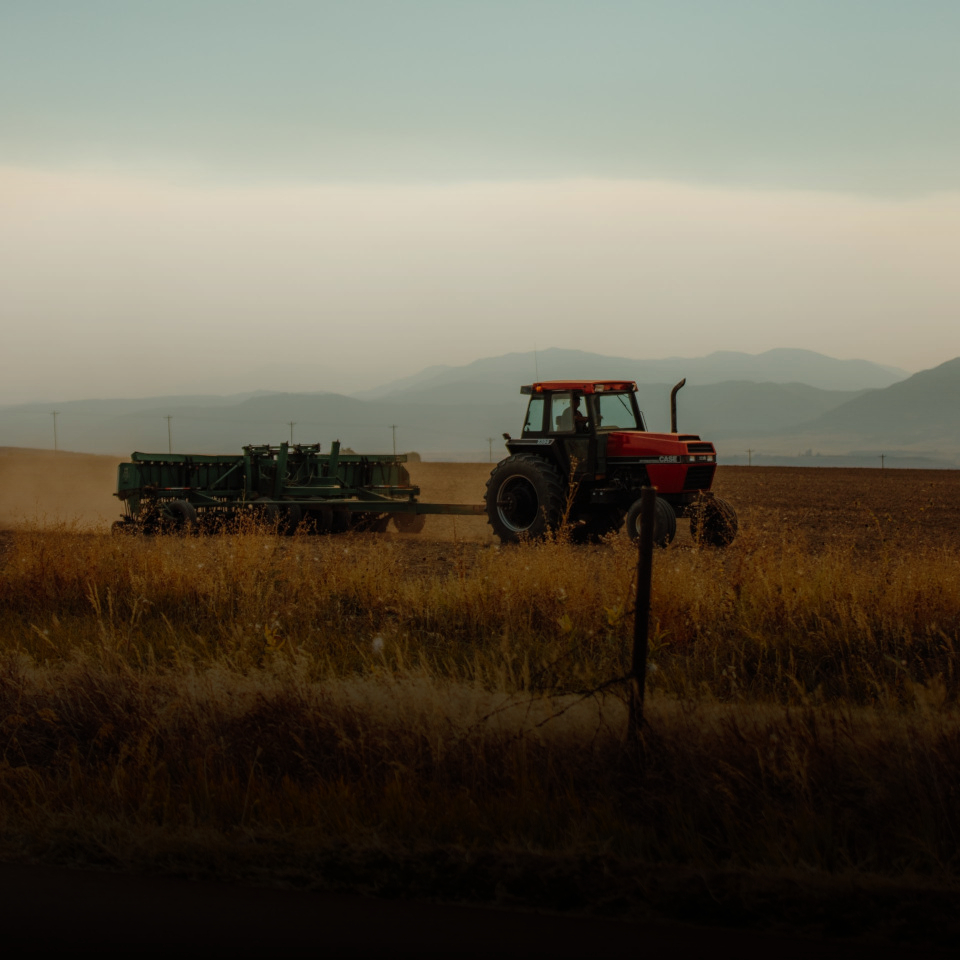 Rural